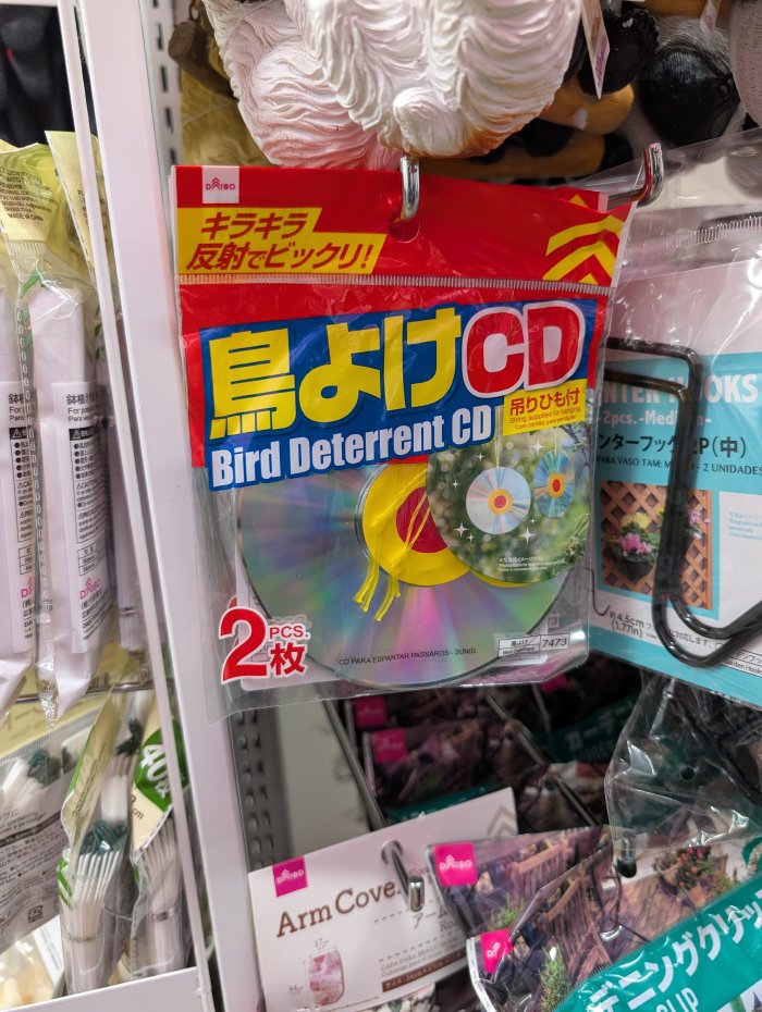 bird deterrent CD