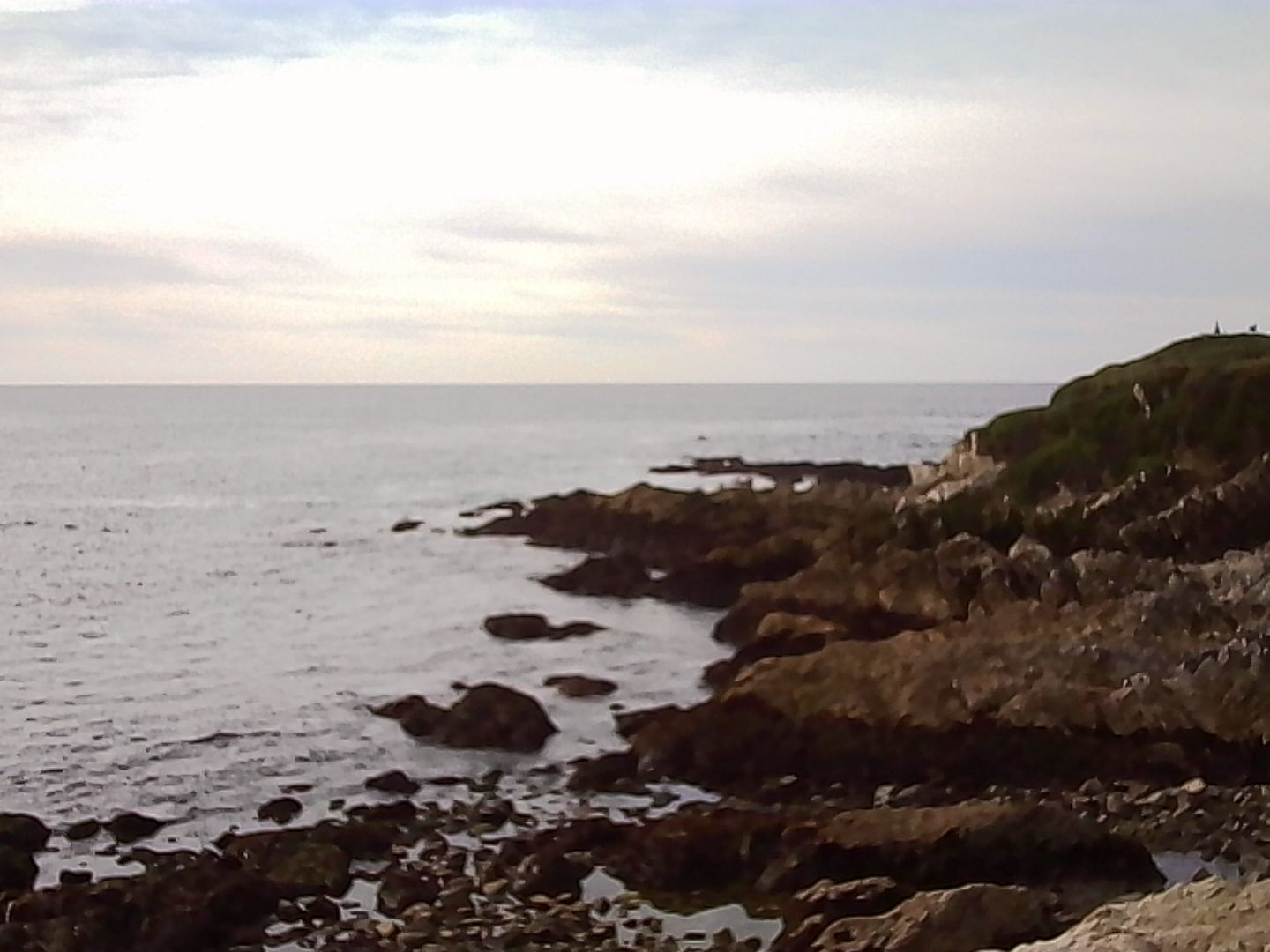 Pebble Beach