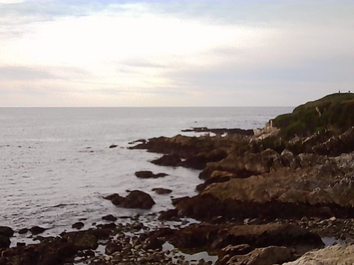 Pebble Beach