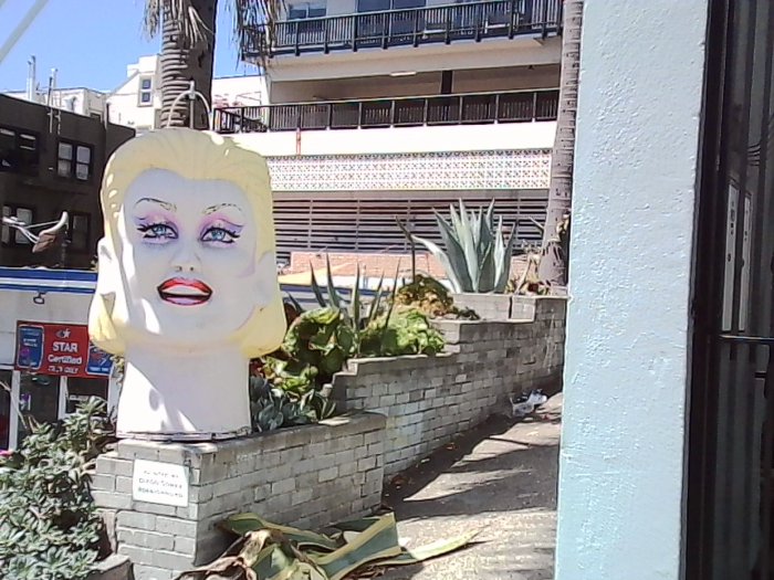 sunny day in the castro